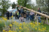 Maibaum aufstellen - Freiland